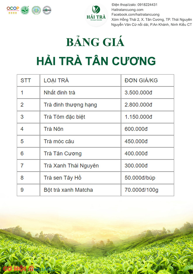 Hải Trà Tân Cương bán chè Thái Nguyên, Hộp Trà Quà Tặng - Ảnh 2 Hải Trà Tân Cương bán chè Thái Nguyên, Hộp Trà Quà Tặng - Ảnh