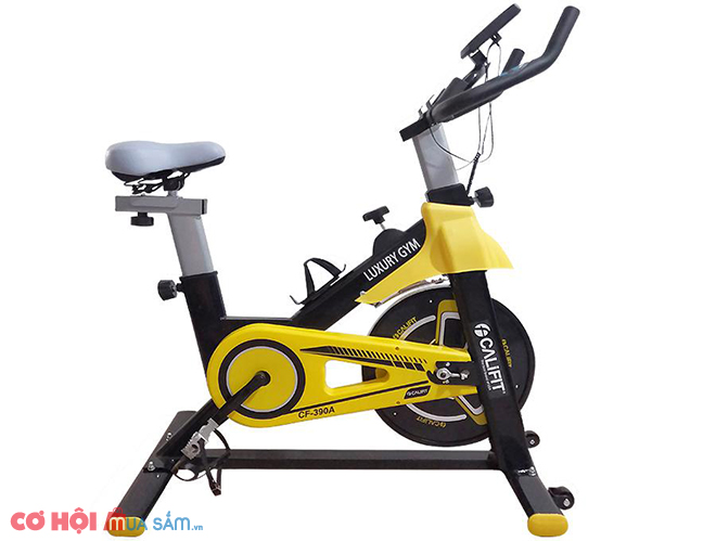 Xe đạp tập thể dục Califit Luxury CF-390A chính hãng - Ảnh 1
