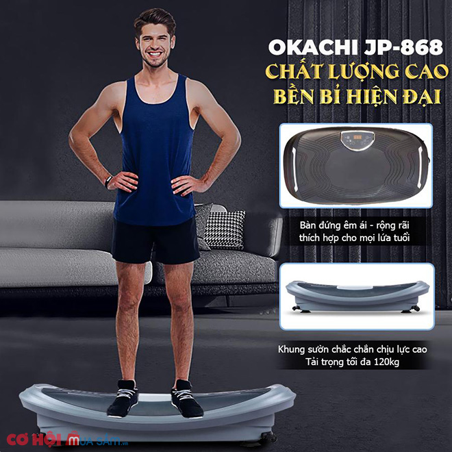 Máy rung toàn thân cao cấp OKACHI JP-868 - Ảnh 3 Máy rung toàn thân cao cấp OKACHI JP-868 - Ảnh 3
