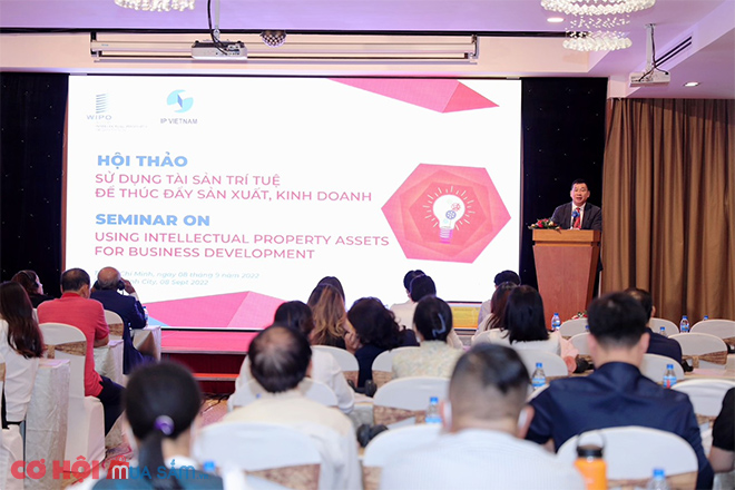 Sử dụng tài sản trí tuệ để thúc đẩy sản xuất, kinh doanh trong doanh nghiệp - Ảnh 3 Sử dụng tài sản trí tuệ để thúc đẩy sản xuất, kinh doanh trong doanh nghiệp - Ảnh 3