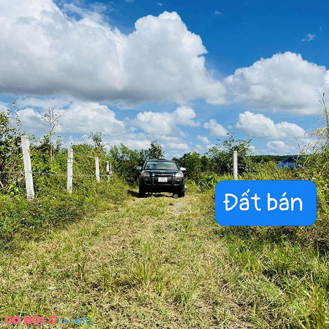 Sang đất Tân Hòa, Buôn Đôn, Đắk Lắk - Ảnh 1 Sang đất Tân Hòa, Buôn Đôn, Đắk Lắk - Ảnh 1