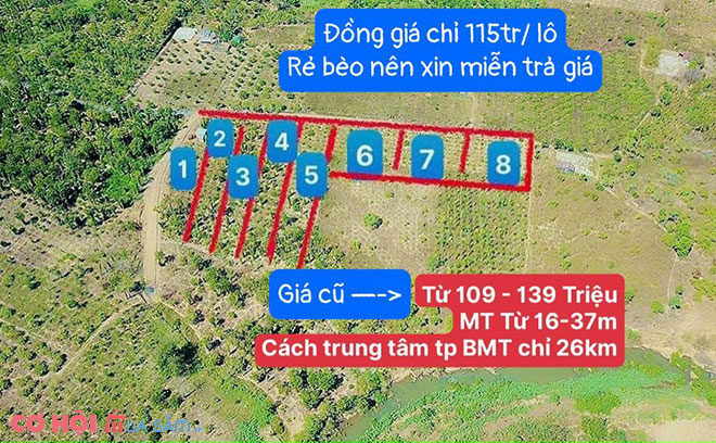 Sang đất Tân Hòa, Buôn Đôn, Đắk Lắk - Ảnh 3 Sang đất Tân Hòa, Buôn Đôn, Đắk Lắk - Ảnh 3
