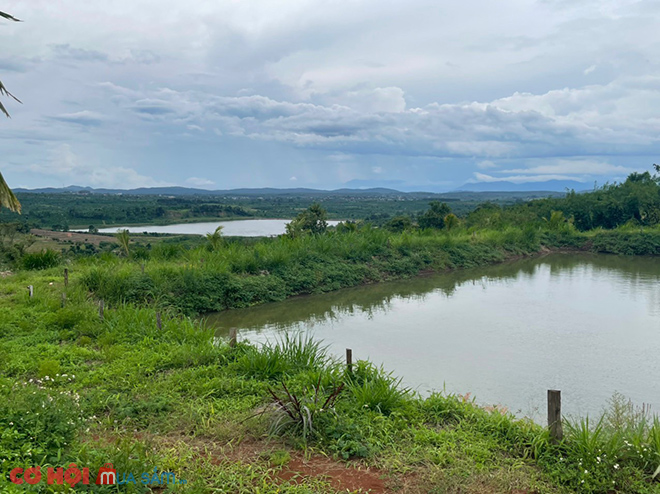 Cần sang đất xã Tam Giang, huyện Krông Năng, Đắk Lắk - Ảnh 1 Cần sang đất xã Tam Giang, huyện Krông Năng, Đắk Lắk - Ảnh 1