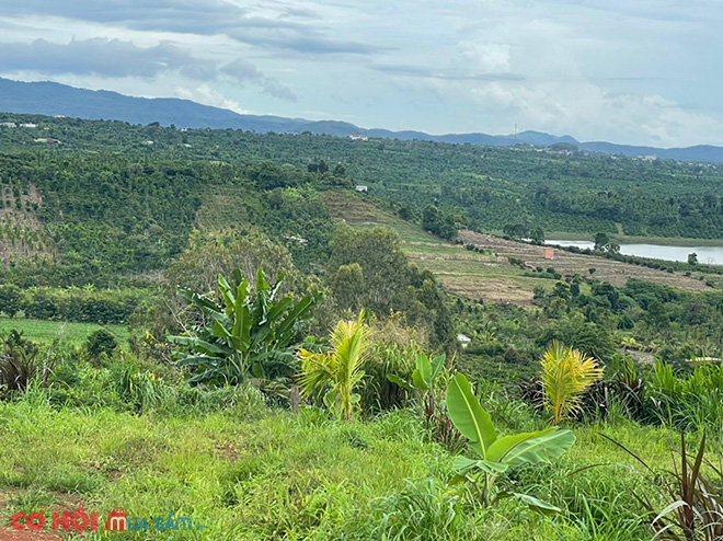 Cần sang đất xã Tam Giang, huyện Krông Năng, Đắk Lắk - Ảnh 2 Cần sang đất xã Tam Giang, huyện Krông Năng, Đắk Lắk - Ảnh 2