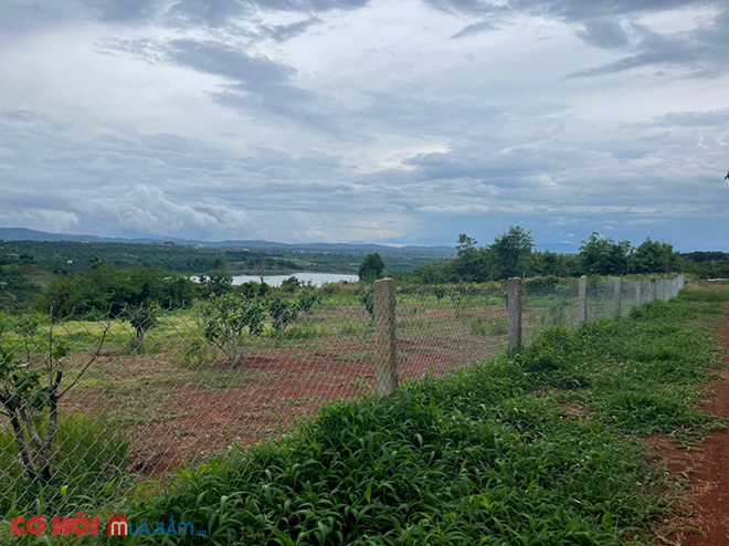 Cần sang đất xã Tam Giang, huyện Krông Năng, Đắk Lắk - Ảnh 3 Cần sang đất xã Tam Giang, huyện Krông Năng, Đắk Lắk - Ảnh 3