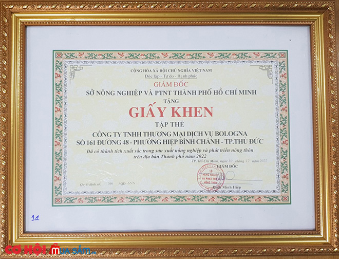 Chung kết Giải Tứ hùng tranh Cúp Sâm Ngọc Linh - Saponin - Ảnh 5 Chung kết Giải Tứ hùng tranh Cúp Sâm Ngọc Linh - Saponin - Ảnh 5