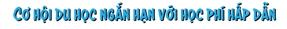 ′Cho con tự tạo nên mùa hè của riêng mình′ với trại hè trường quốc tế - Ảnh 8 ′Cho con tự tạo nên mùa hè của riêng mình′ với trại hè trường quốc tế - Ảnh 8