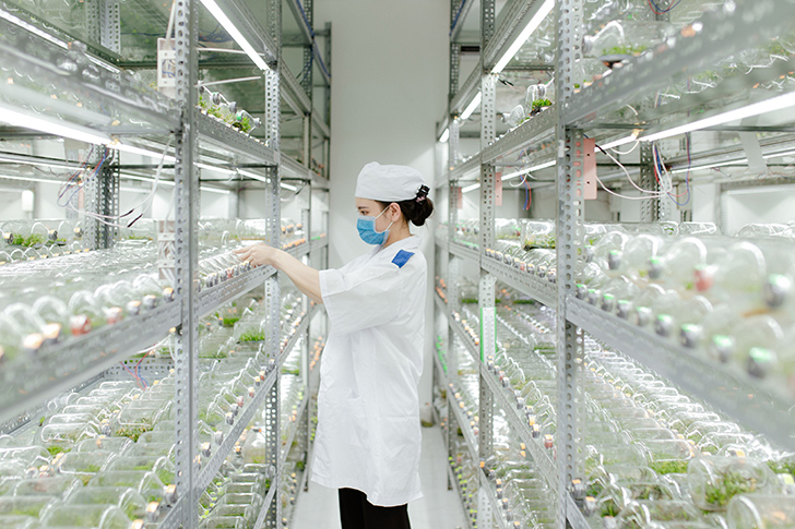Học nghề tại Trường Trung cấp Vạn Tường - ảnh 3 Học nghề tại Trường Trung cấp Vạn Tường - ảnh 3