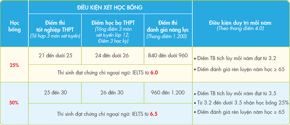 Hiện thực mục tiêu công dân toàn cầu với chương trình cử nhân quốc tế - ảnh 5 Hiện thực mục tiêu công dân toàn cầu với chương trình cử nhân quốc tế - ảnh 5