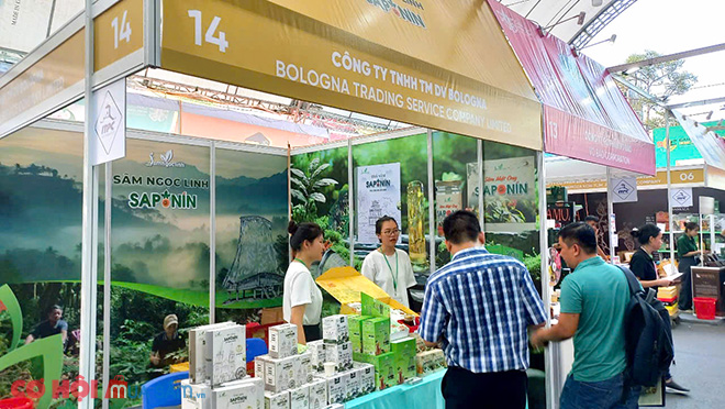 Bột Dinh dưỡng Sâm Ngọc Linh - Năng lượng cho ngày mới - ảnh 3 Bột Dinh dưỡng Sâm Ngọc Linh - Năng lượng cho ngày mới - ảnh 3