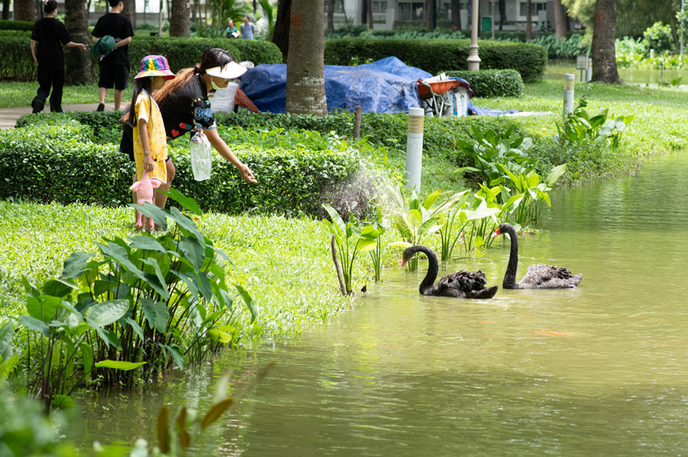 Sống chất lượng tại khu đô thị đa dạng sinh học ở TP.HCM Sống chất lượng tại khu đô thị đa dạng sinh học ở TP.HCM